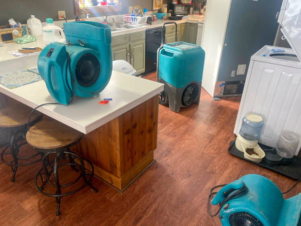 24/7 water damage repair in MI