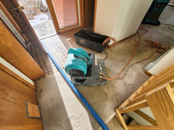 Best Water damage restoration specialists  in St Ignace, MI