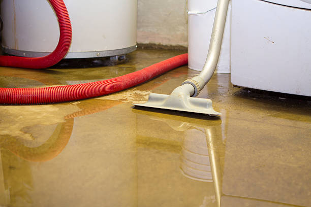 Best Emergency water damage restoration  in St Ignace, MI