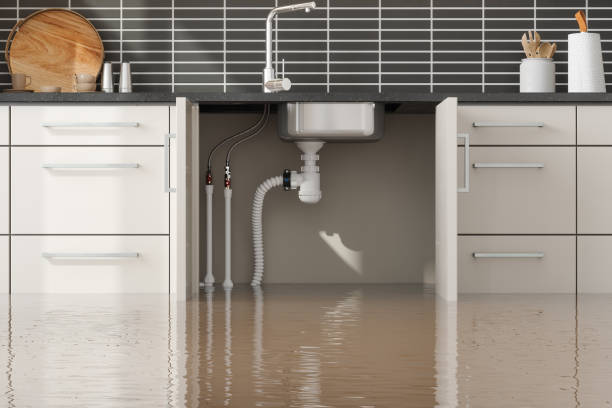Best Carpet water damage restoration  in St Ignace, MI